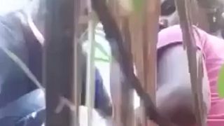 Bercinta Liar Di Ladang Tebu Pasangan Desa