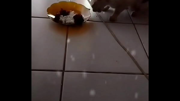 Anita, Si Seksi Binal Siap Digoyang.