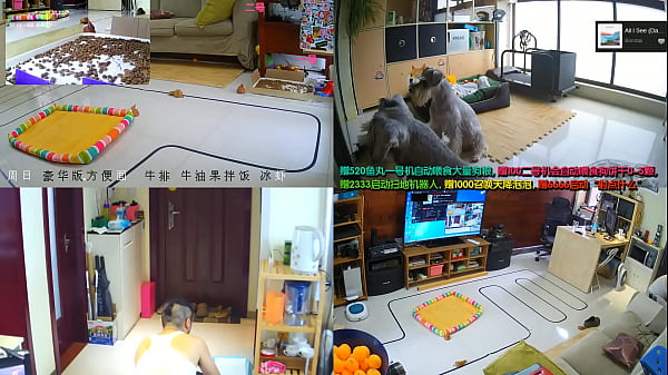 Cewek China Live Lagi, Goyang-goyang Seksi Bikin Makin Pengen Nonton
