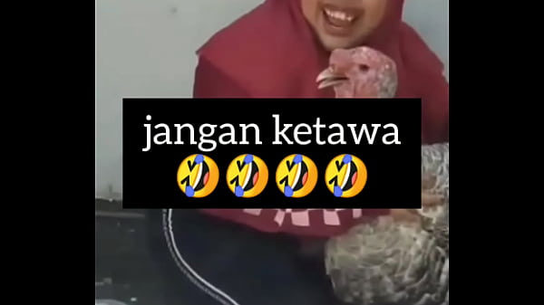 Gadis Gendut Ngakak Sambil Gelinjang Nafsu Bejat